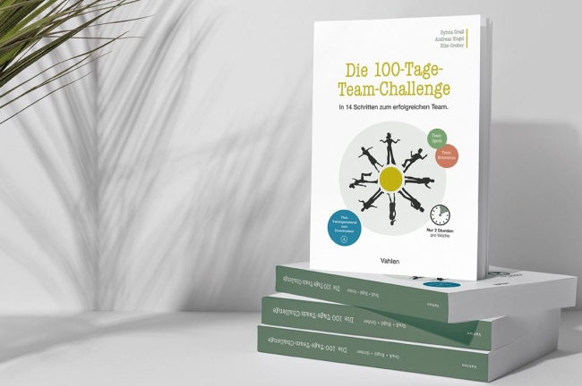 Buch: Die 100-Tage-Team-Challenge Buch: Die 100-Tage-Team-Challenge
