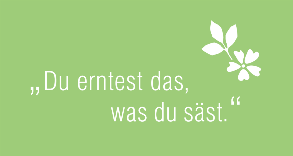Du erntest, was du säst. 